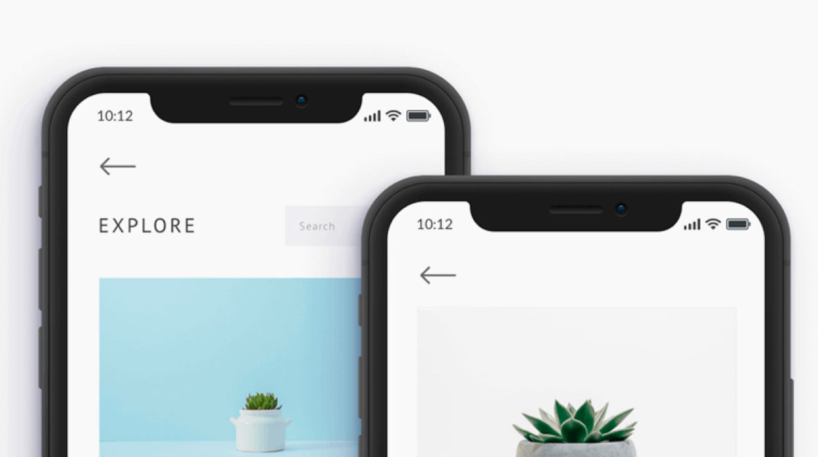 Web Soft
